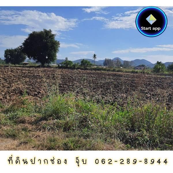 ขายที่ดินปากช่อง 5-3-55.3 ไร่ ที่ดินทำบ้านพักตากอากาศ เพื่อนบ้านสังคมดี เป็นชุมชน บริเวณโดยรอบ มีบ้านหลายหลัง 